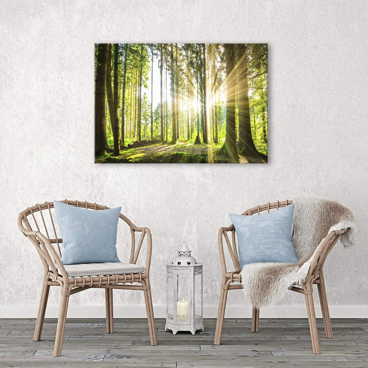 Feeby Bilder Wald Baum Sonne 70x50 cm Wohnzimmer Schlafzimmer Büro Flur Küche Wandbilder Modern Bild