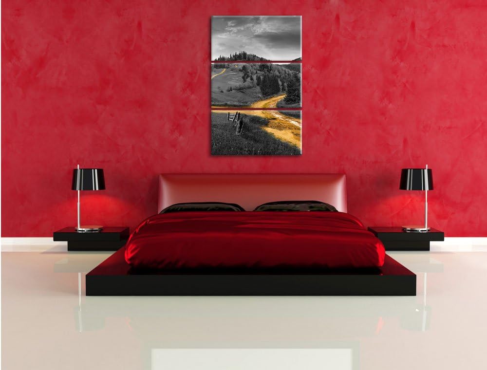 Pixxprint Verträumte Berglandschaft schwarz/weiss als Leinwandbild/Grösse: 3 Teilig (120x80) cm/Wand