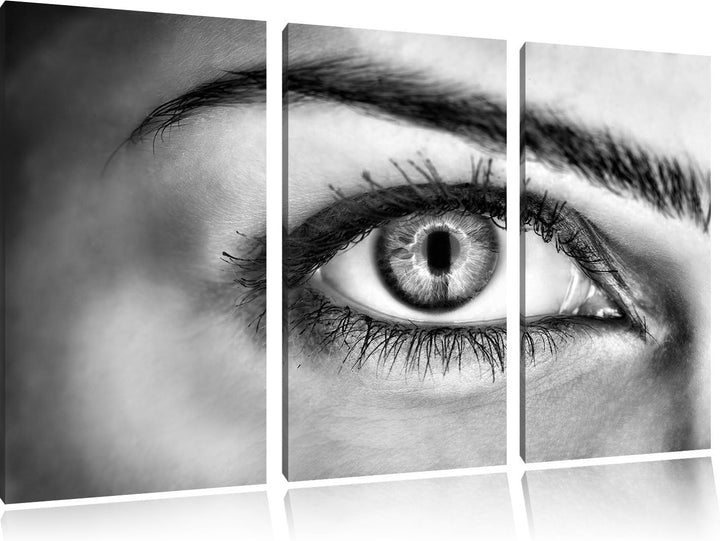 Pixxprint Monocrome, Auge Einer Frau 3-Teiler Leinwandbild 120x80 Bild auf Leinwand