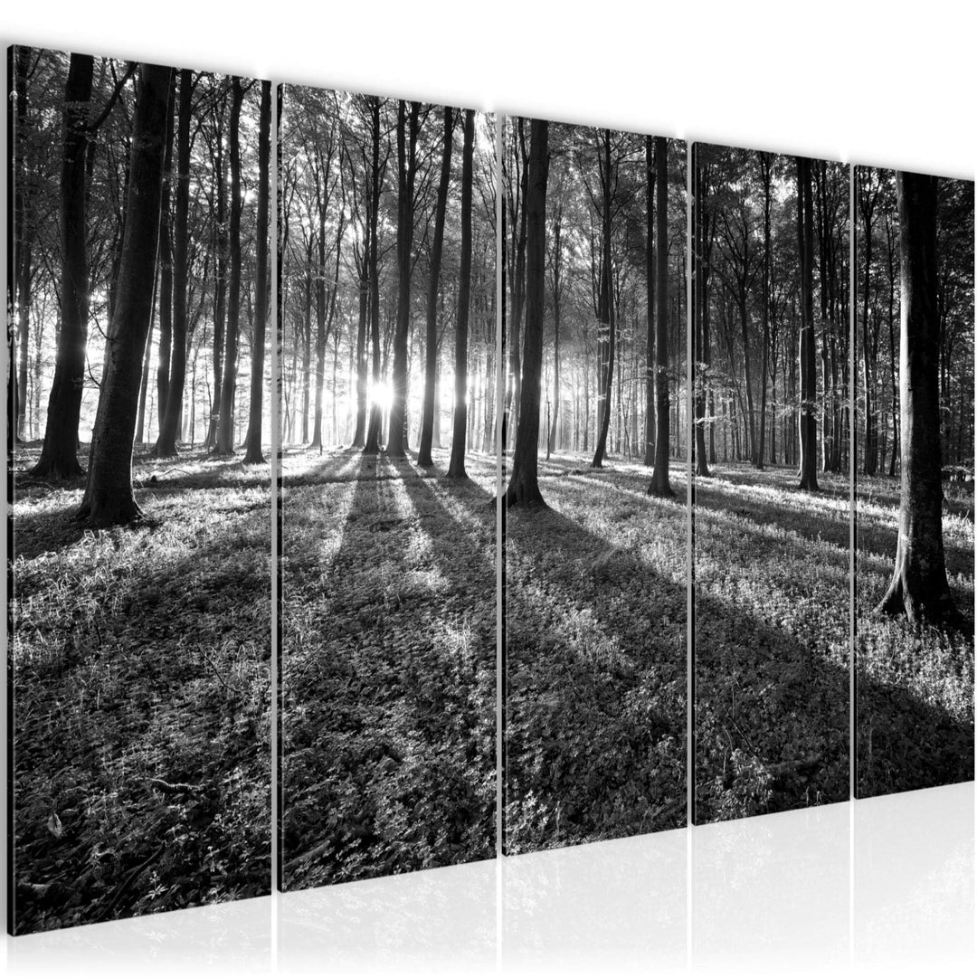 Runa Art Bild Wald Landschaft Wandbilder auf Vlies Leinwand 5 Teilig Wanddekoration Schlafzimmer Woh