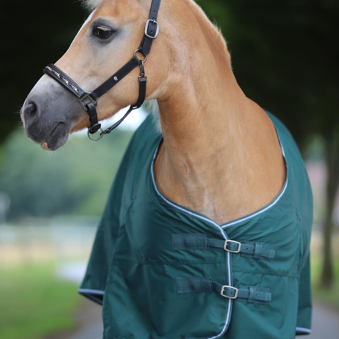 Marengos - Regendecke 600D Comfort wasserdicht und atmungsaktiv tannengrün 125, tannengrün 125