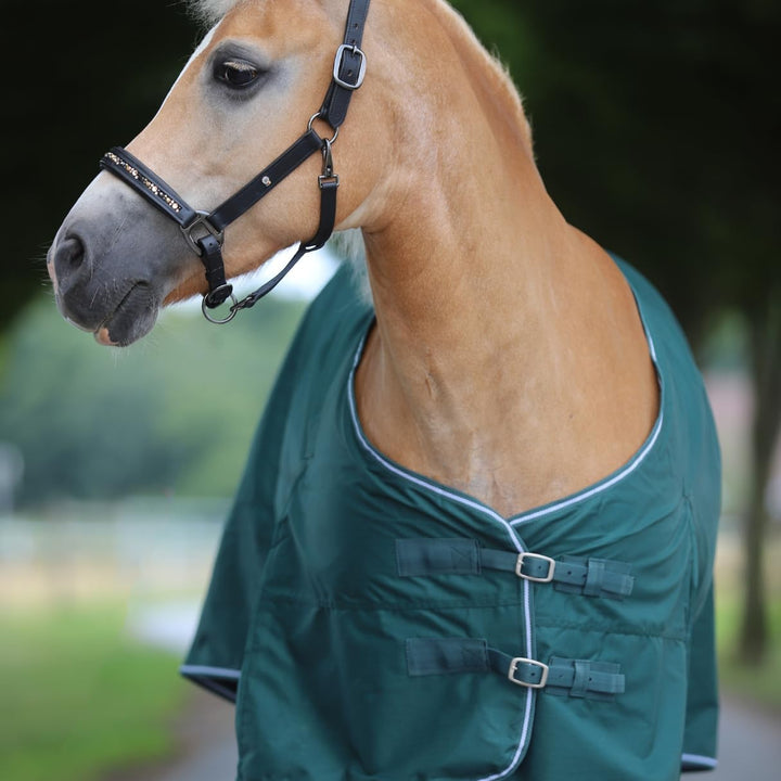 Marengos - Regendecke 600D Comfort wasserdicht und atmungsaktiv tannengrün 125, tannengrün 125