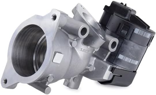 Delphi EG10396-12B1 Agr-Ventil