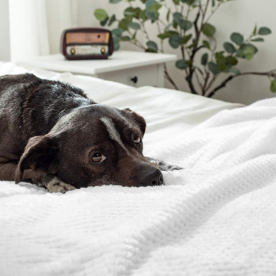 MIULEE Kuscheldecke Granulat Fleecedecke Flanell Decke Weich Flauschig Einfarbig Wohndecken Couchdec