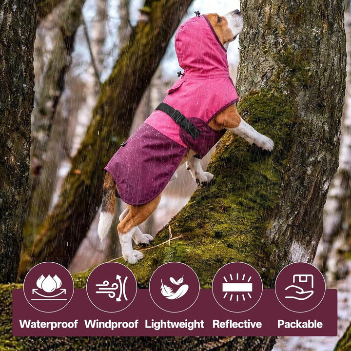 Hunde-Regenmantel für mittelgrosse Hunde mit Kapuze, wasserdicht, reflektierend, mit verstellbarem K