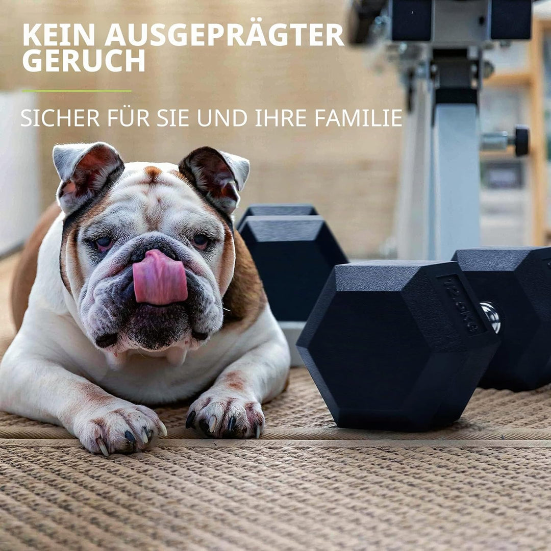 PhysKcal Hexagon Hanteln Poly-Gummierte | 2,5-20 kg | Rutschsicher Ummantelt | Ergonomische Verchrom