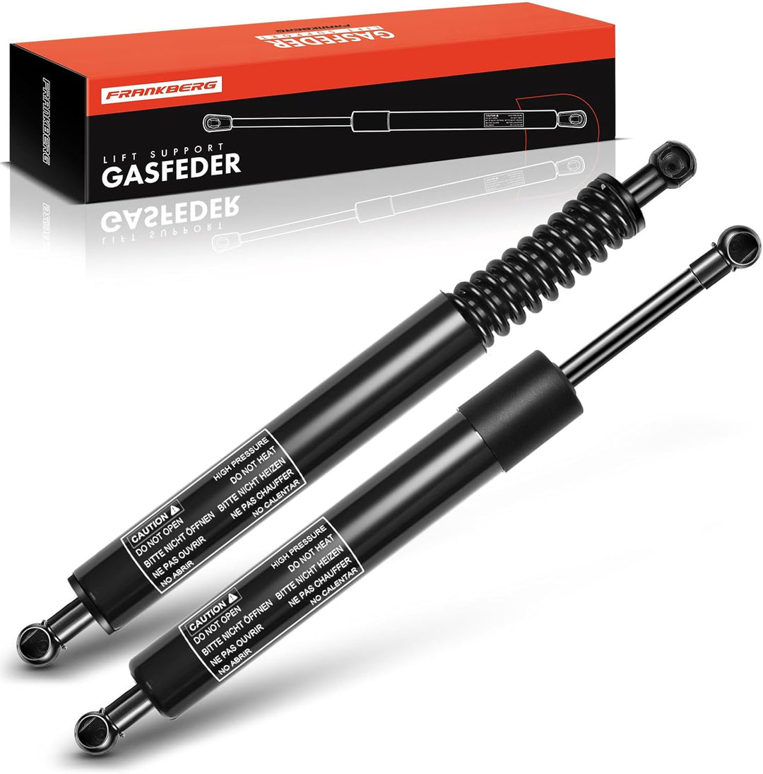 Frankberg 2x Gasfeder Dämpfer Heckklappe Kompatibel mit W251 V251 R280 R300 R320 R350 R500 R63 MPV 2