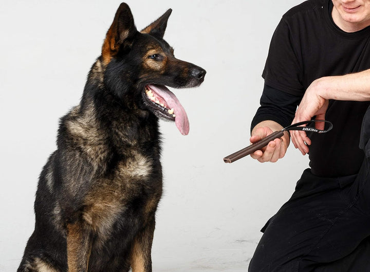Dingo Gear S00230 Hundespielzeug Bissenzieher, Handarbeit aus braunem genarbtem Leder, Starkes Ziehe