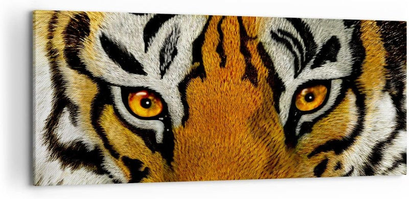 Panorama Bilder auf Leinwand 100x40cm Leinwandbild Tiger Tiere Natur Safari Gross Wanddeko Bild Schl