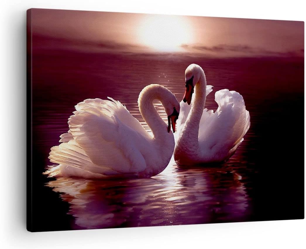 Bilder auf Leinwand Schwäne Landschaft Wasser Leinwandbild 70x50cm Wandbilder Dekoration Wohnzimmer