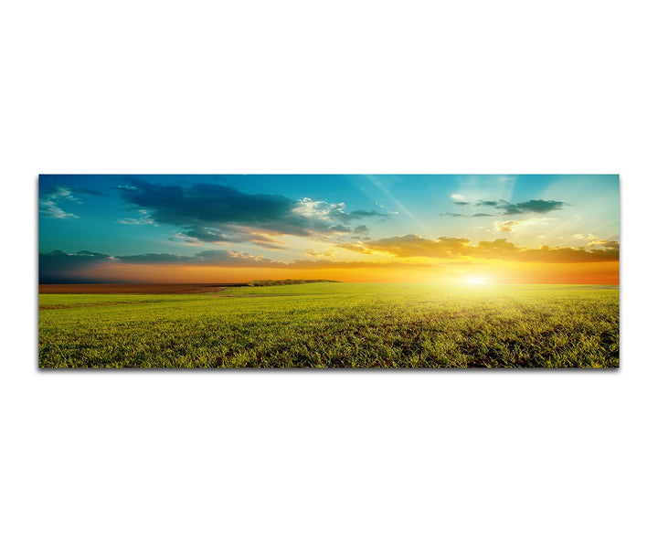 Paul Sinus Art Panoramabild auf Leinwand und Keilrahmen 150x50cm Feld Wiese Sommer Wolken Sonnenunte