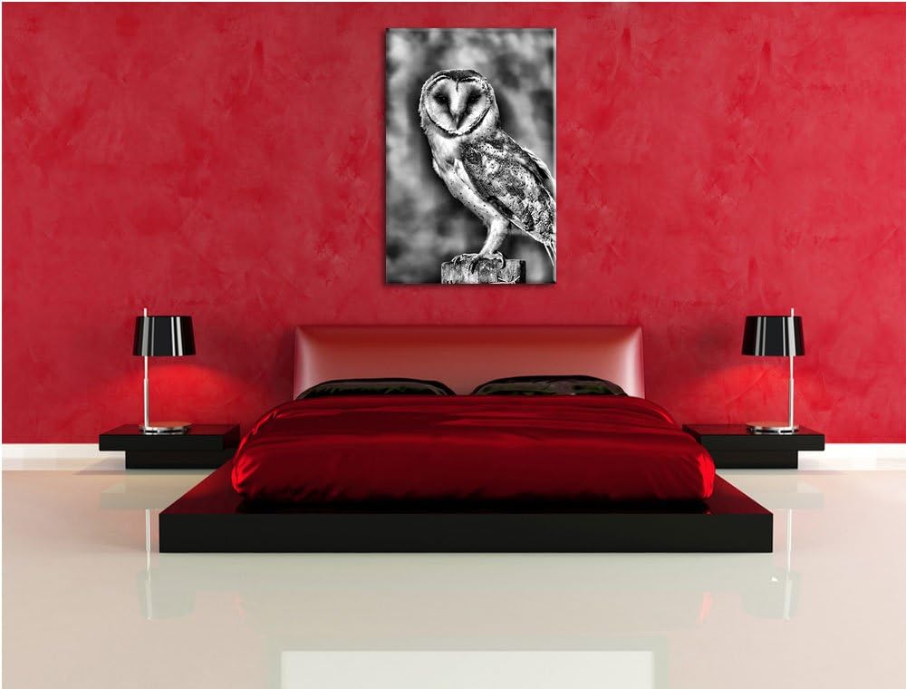Monocrome, Eule, Format: 100x70 auf Leinwand, XXL riesige Bilder fertig gerahmt mit Keilrahmen, Kuns