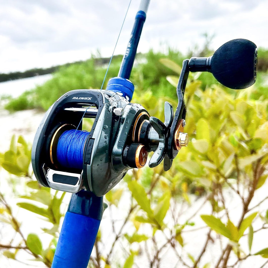 Piscifun Alijoz Baitcaster Fishing Reel, 300 Size Aluminum Frame Baitcasting Reel, 33Lbs Max Drag, F