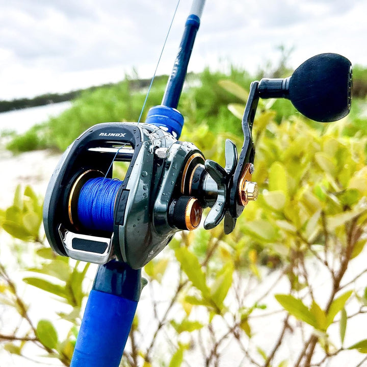 Piscifun Alijoz Baitcaster Fishing Reel, 300 Size Aluminum Frame Baitcasting Reel, 33Lbs Max Drag, F