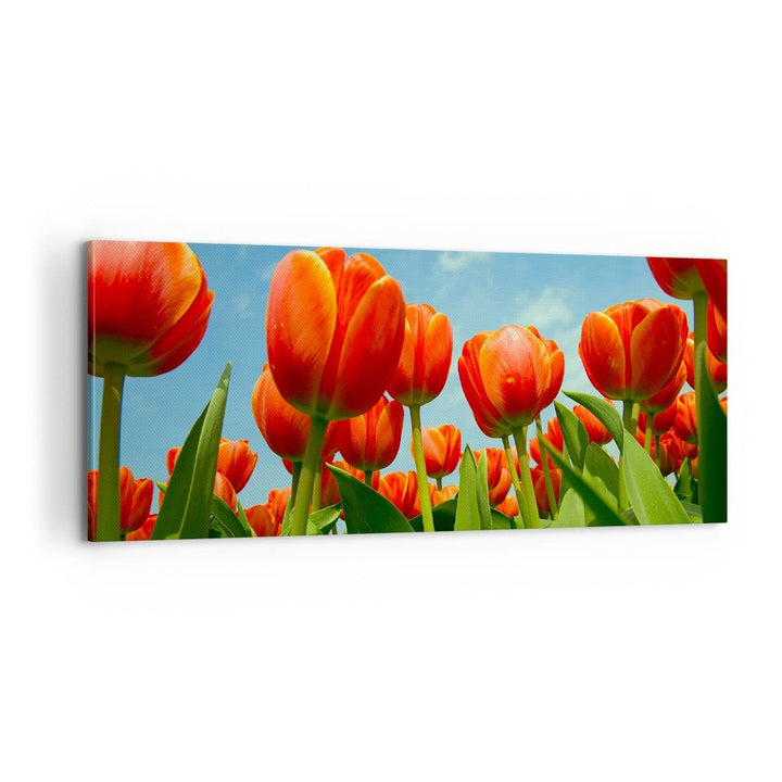Panorama Bilder auf Leinwand 100x40cm Leinwandbild Tulpe Blume blauer Himmel Gross Wanddeko Bild Sch
