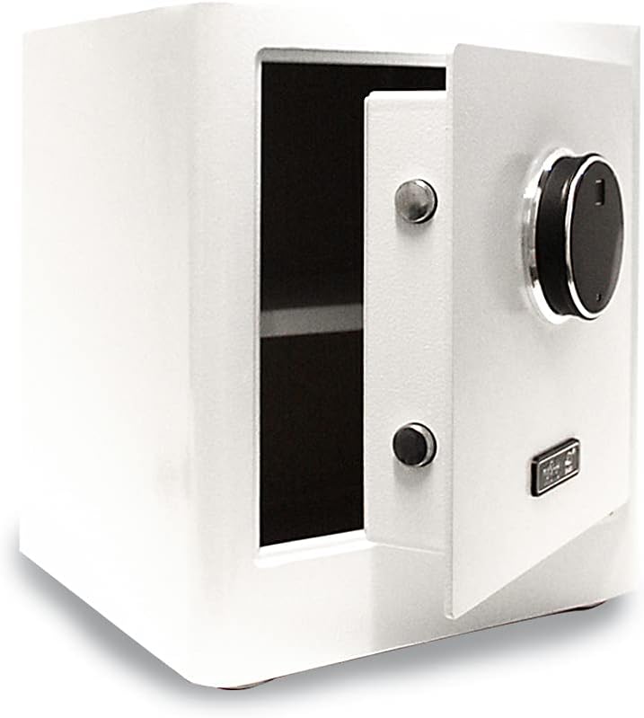 mySafe Premium 350 | elektronischer Schrank-Tresor | Zahlencode & Fingerscan | modernes Design | hoh