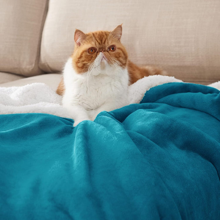BEDSURE Kuscheldecke - Warm Sherpa Wolldecke & Sofadecke, Flauschig Sofaüberwurf Decke, Dicke Couchd