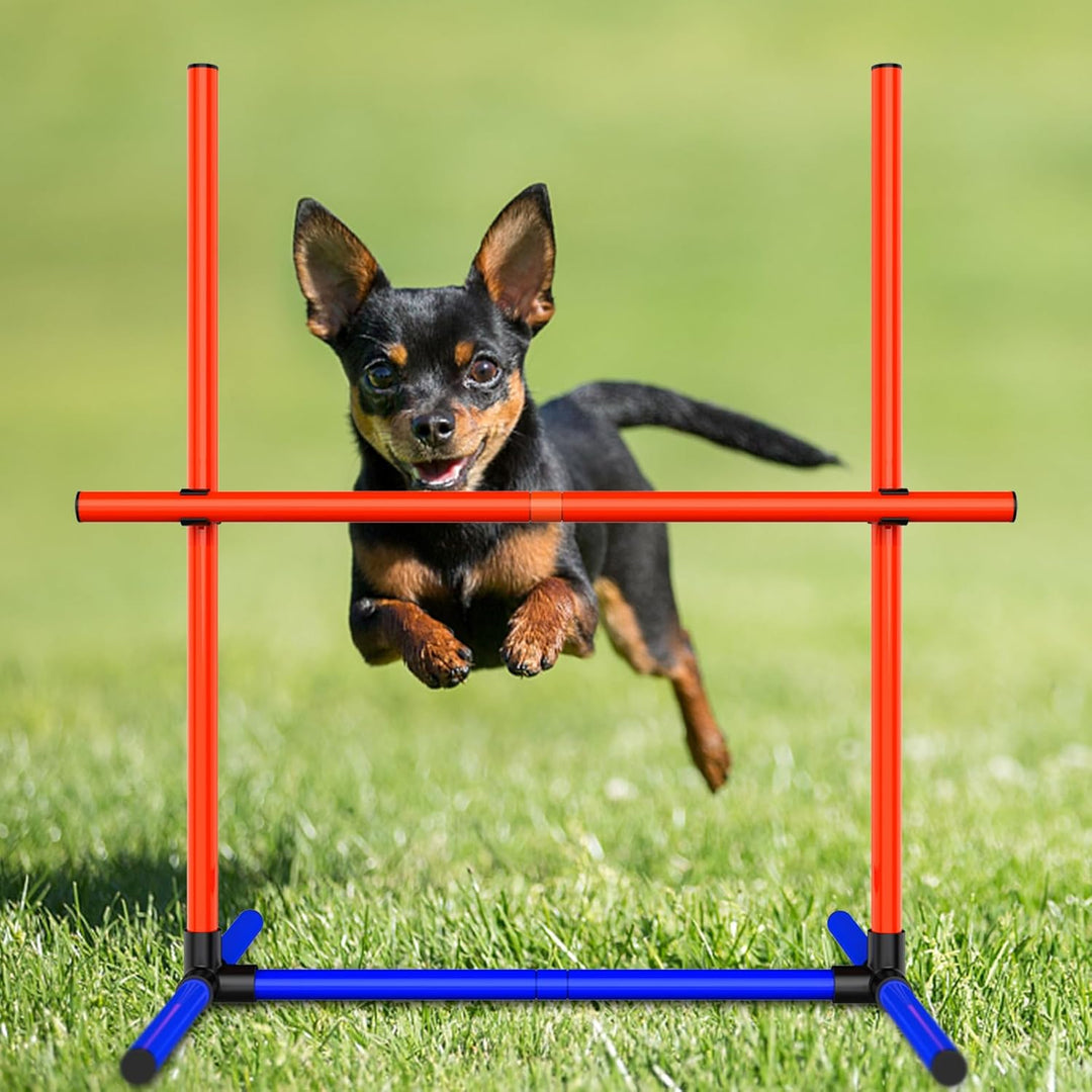 Agility-Trainingsset für Hunde, Hindernisset mit Slalomstangen, Hundesport-Ausrüstung, für Grosse un
