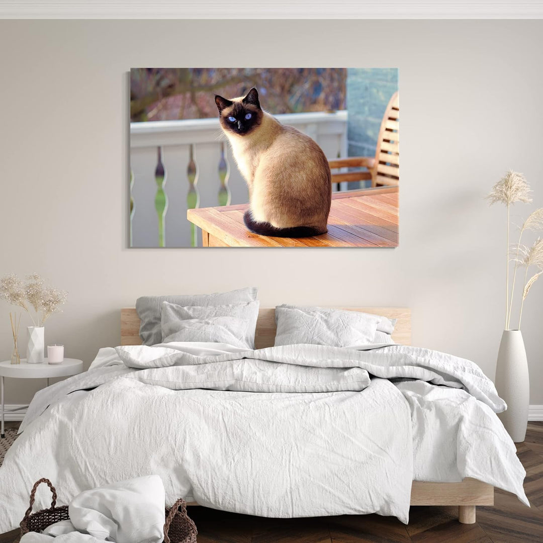 Printed Paintings Leinwand (60x40cm): Siamkatze auf Tisch Katzenbilder Katzen 60x40 cm, 60x40 cm