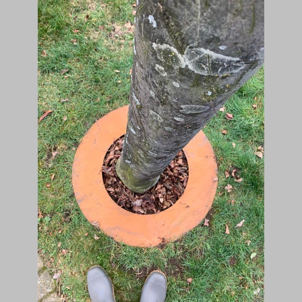 Baumring Cortenstahl Edelrost Ø50 cm Ø30 cm innen – Baumschutz & Gartendeko rost Aussendurchmesser 5