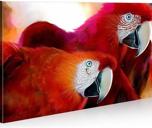 islandburner Bild Bilder auf Leinwand Papageien 1p XXL Poster Leinwandbild Wandbild art up your life