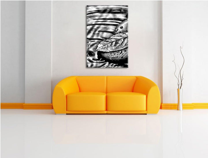 Pixxprint Stein mit Blatt als Leinwandbild | Grösse: 100x70 | Wandbild| Kunstdruck | fertig bespannt