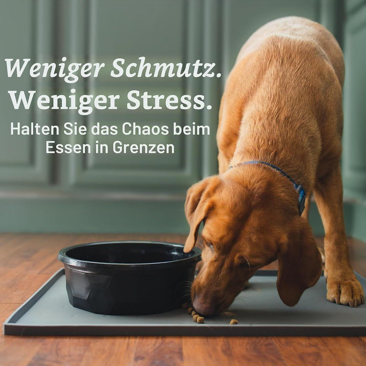Leashboss Spritzmatte Medium/Gross – Napfunterlage Katzen &amp; Hund mit Grosser Lippe, Rutsch- und Wass