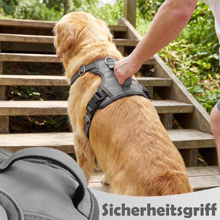 Funfox Hundegeschirr Kleine Hunde [S] - Anti Zug Welpengeschirr mit Griff &amp; Ringreflektoren, Atmungs
