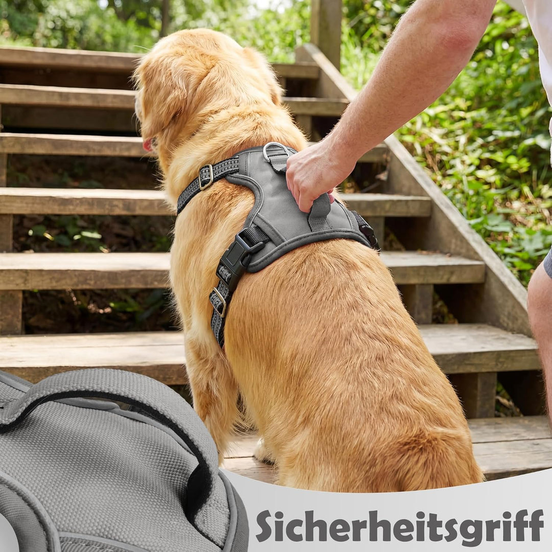 Funfox Hundegeschirr Mittelgrosse Hunde [M] - Verstellbares Anti-Zug Brustgeschirr mit Griff &amp; Refle