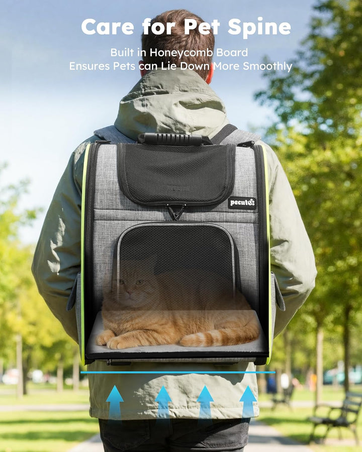 pecute Hunderucksack, Erweiterbar Faltbar, Katzenrucksack Grosse Katzen mit Anti-offener Reissversch