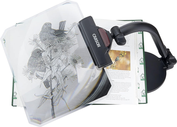 Carson Fresnel Stand Magnifier 1,5X Standlupe mit grossflächiger Linse (CP-10) Fresnel Standlupe (CP