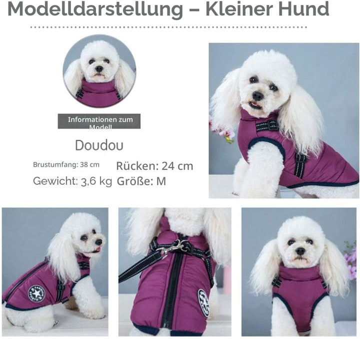 Hundejacke mit Geschirr für kleine Hunde, Outdoor-Hunde-Sportweste, warmer Haustier-Winterjacke für