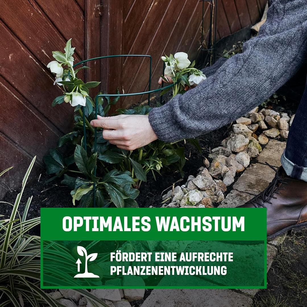 GardenGloss® Strauchstützen aus beschichtetem Stahl (5 Stück) - Staudenhalter halbrund 35cm x 40cm -