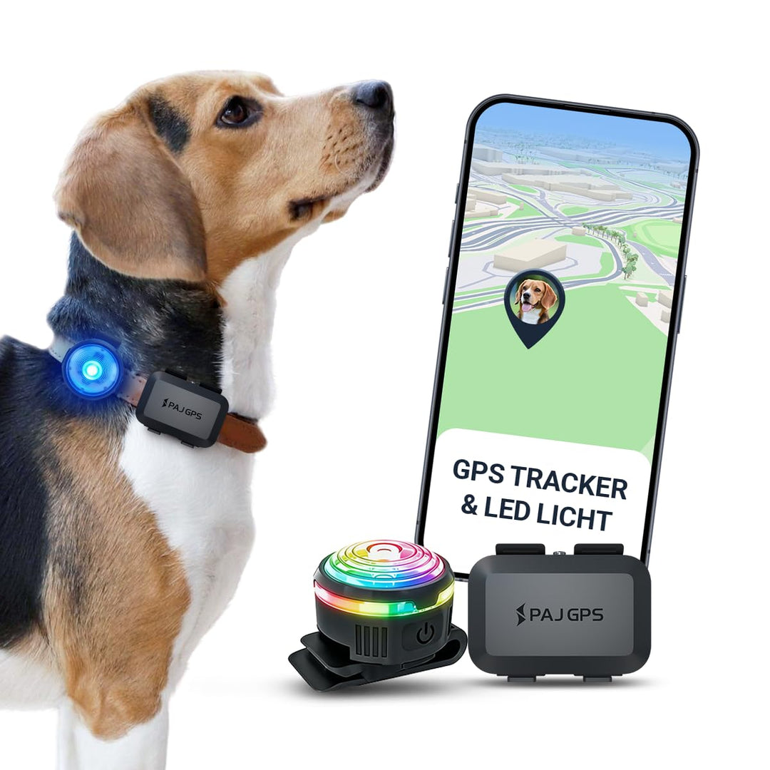 PAJ GPS Tracker 4G Mini für Hunde - inkl. 3 Monate Premium Zugang + MINI LED-Licht, Weglaufalarm+Hun