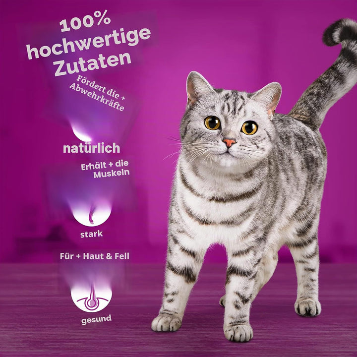 Whiskas Nassfutter für Katzen, Kollektion Country in Sosse, 13 x 4 x 85 g Whiskas Tasty Mix Country