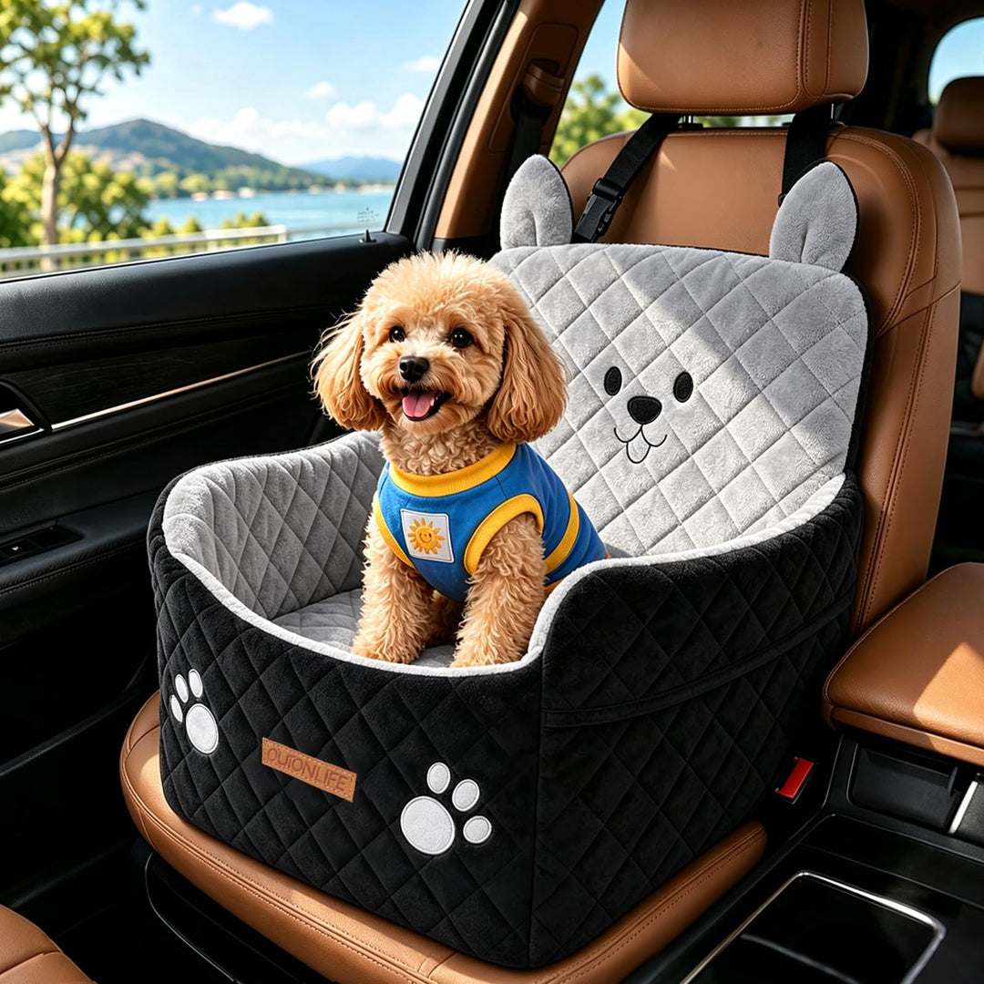 Hunde-Autositz für kleine und mittelgrosse Hunde bis 16 kg | 15 cm erhöht, mit hochdichtem Schaumsto