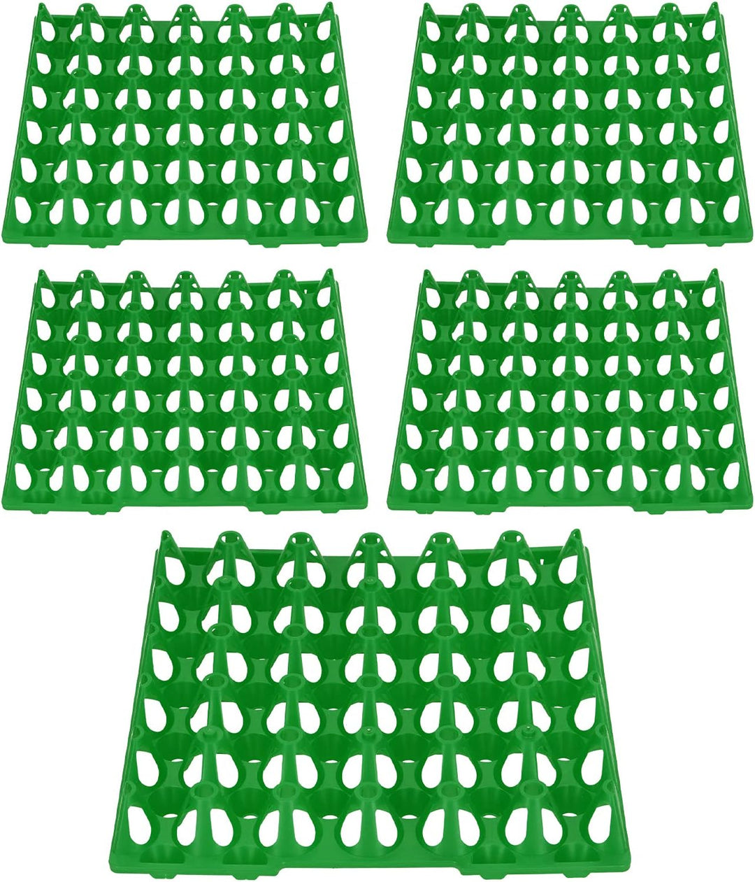 5 STÜCKE Eierkartons, Verdickte Eierverpackungen 30 Zellen Eierkisten Halter Tablett für Lagerung Tr