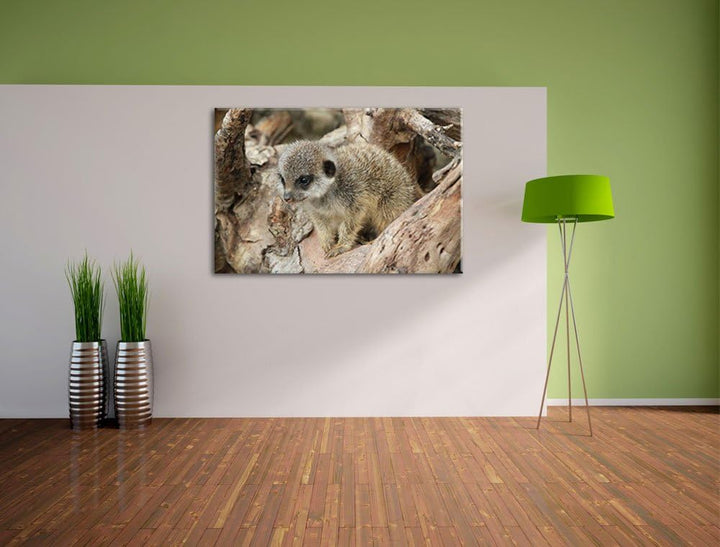 Pixxprint junges Erdmännchen auf Baum auf Leinwand, XXL riesige Bilder fertig gerahmt mit Keilrahmen