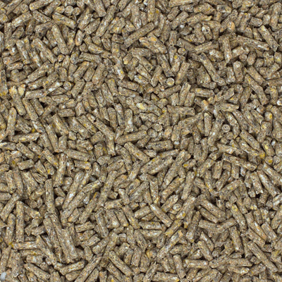 Agrarzone Minischweinfutter Pellets 25 kg - Weizen Schweinefutter 25KG für Minischweine und Zwergsch