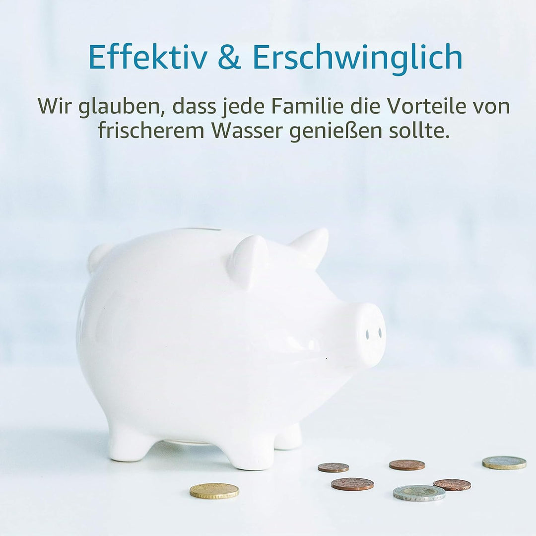 AQUA CREST Ersatzwasserfilter für Saeco® Brita® Intenza+, Philips® Saeco® CA6702/00, Gaggia® Mavea®,