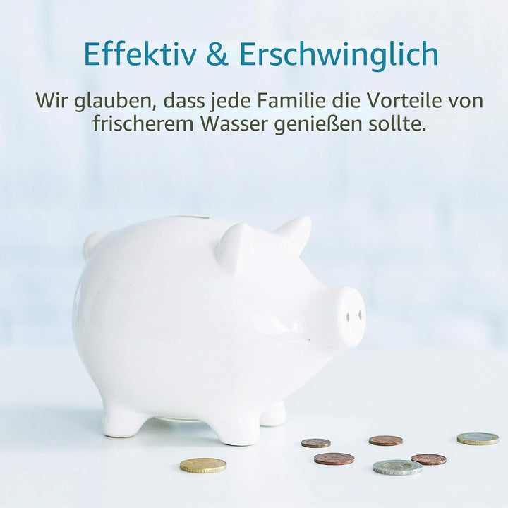 AQUA CREST Ersatzwasserfilter für Saeco® Brita® Intenza+, Philips® Saeco® CA6702/00, Gaggia® Mavea®,