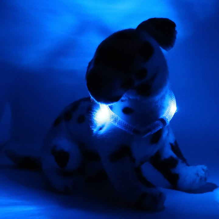 LEUCHTIE® Leuchthalsband Mini blau Grösse 32,5 I LED Halsband extra für kleine Hunde I wasserdicht I