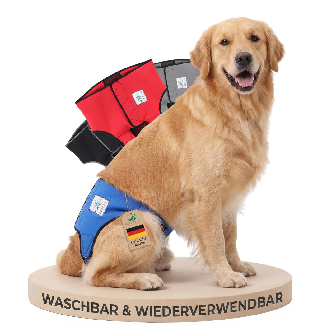 Läufigkeitshose für Hündinnen 2.0 - Hundewindeln aus hochwertigem perforiertem Neopren für einen opt