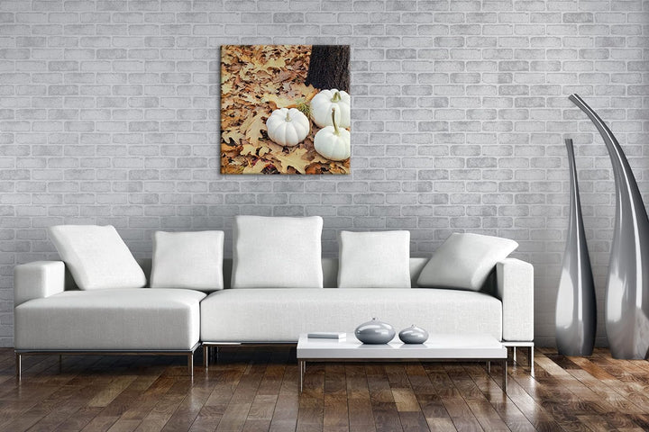 frische Kürbise Format: 70x70 als Leinwandbild, Motiv fertig gerahmt auf Echtholzrahmen, Hochwertige