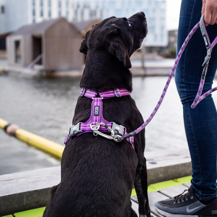 DOG Copenhagen Comfort Walk Air Harness Classic Red WH-CR Grösse XL XL Classic Red | Rot (Version 20