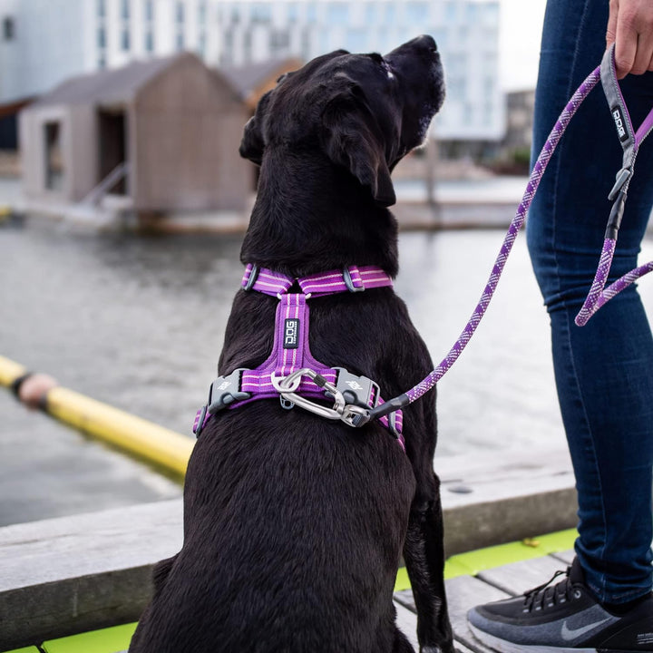 DOG Copenhagen Comfort Walk Air Harness Classic Red WH-CR Grösse XL XL Classic Red | Rot (Version 20