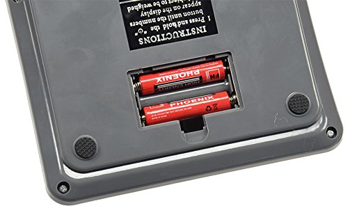 Präzisionswaage Küchenwaage mit Zählfunktion 0-10kg ±1g Edelstahl beleuchtetes Display für z.B. Klei