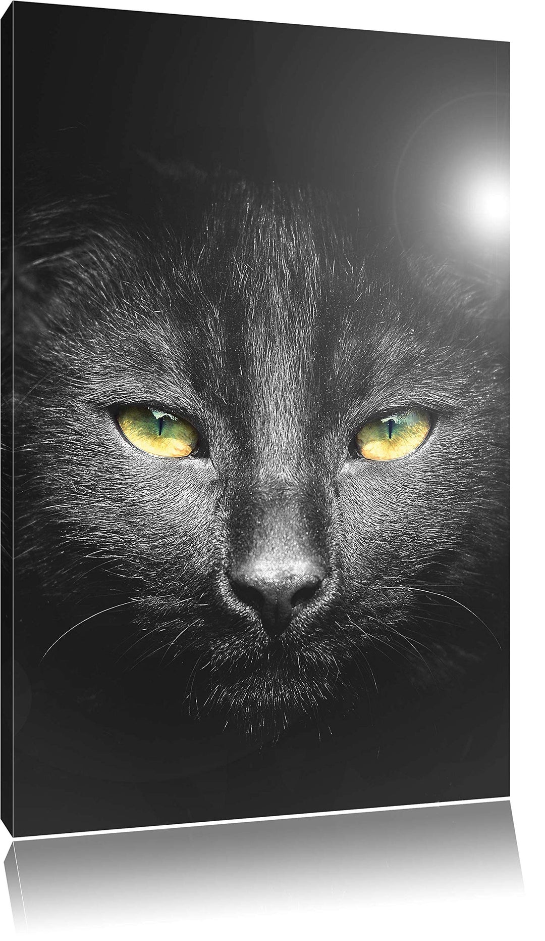 Pixxprint Katzenkopf mit düsterem Hintergrund als Leinwandbild/Grösse: 100x70 cm/Wandbild/Kunstdruck