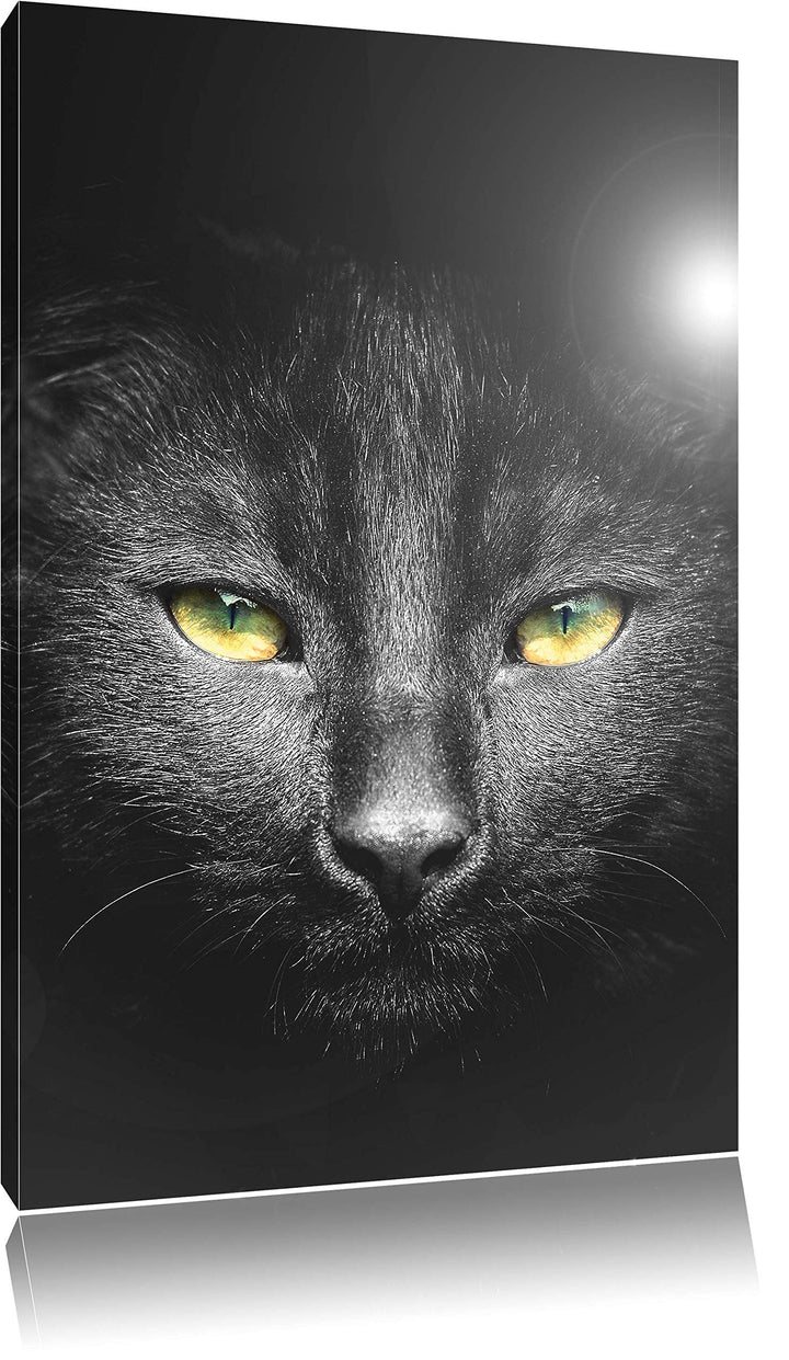 Pixxprint Katzenkopf mit düsterem Hintergrund als Leinwandbild/Grösse: 100x70 cm/Wandbild/Kunstdruck