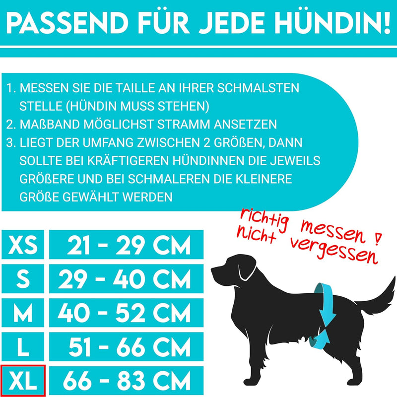 HUND IST KÖNIG® Hundewindeln für Hündinnen [3 STK] Saugstarke Läufigkeitshose für Hündinnen 3-Fach j